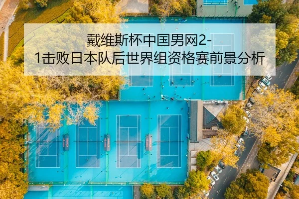 dai-wei-si-bei-zhong-guo-nan-wang-ji-bai-ri-ben-dui-hou-shi-jie-zu-zi-ge-sai-qian-jing-fen-xi-2-554.jpg